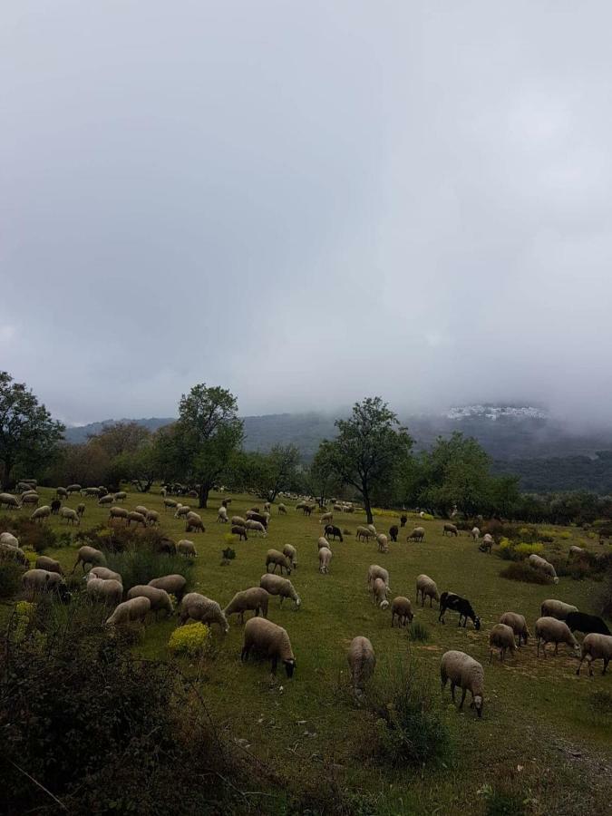 Castano Real Villa Atalbeitar Buitenkant foto